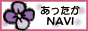 NAVI